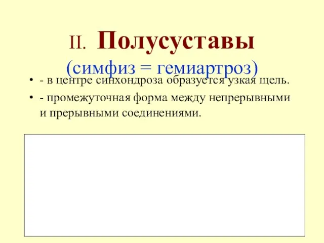 II. Полусуставы (симфиз = гемиартроз) - в центре синхондроза образуется узкая щель.