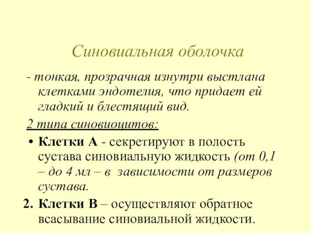 Синовиальная оболочка - тонкая, прозрачная изнутри выстлана клетками эндотелия, что придает ей