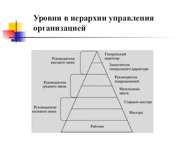 Уровни в иерархии управления организацией