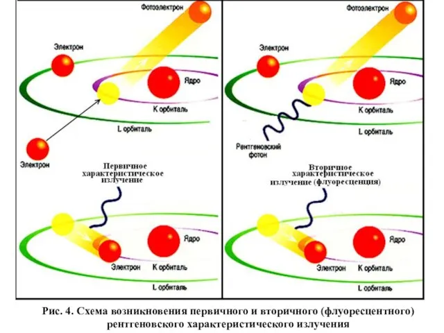 Рис. 4. Схема возникновения первичного и вторичного (флуоресцентного) рентгеновского характеристического излучения