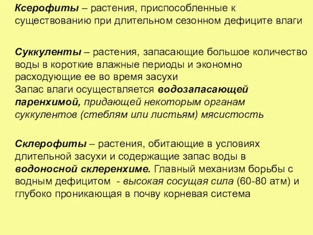 Ксерофиты – растения, приспособленные к существованию при длительном сезонном дефиците влаги Суккуленты