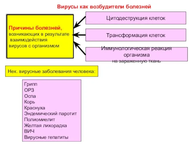 Вирусы как возбудители болезней Причины болезней, возникающих в результате взаимодействия вирусов с