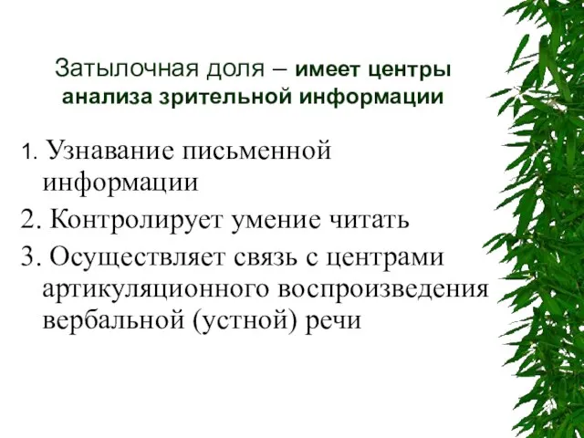 Затылочная доля – имеет центры анализа зрительной информации 1. Узнавание письменной информации