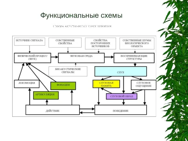 Функциональные схемы