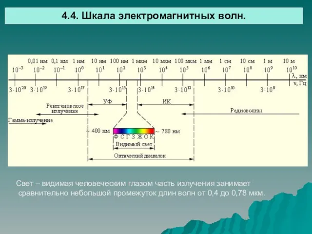 4.4. Шкала электромагнитных волн. Свет – видимая человеческим глазом часть излучения занимает