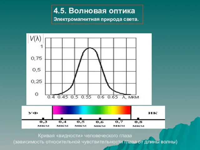 Кривая «видности» человеческого глаза (зависимость относительной чувствительности глаза от длины волны) 4.5.