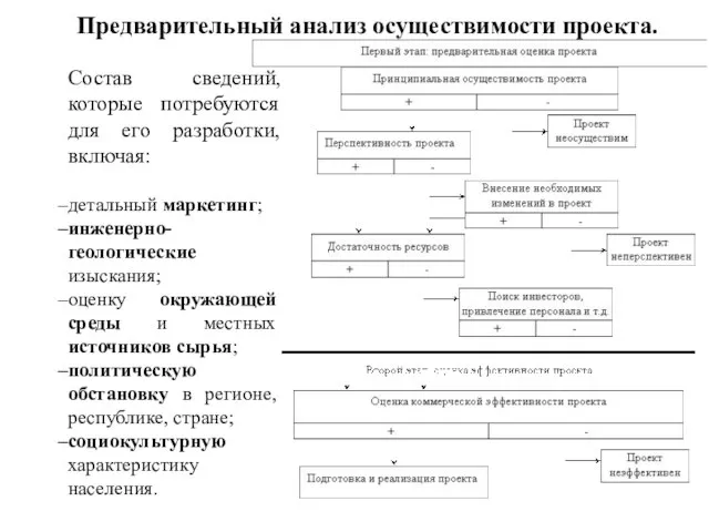 Предварительный анализ осуществимости проекта. Состав сведений, которые потребуются для его разработки, включая: