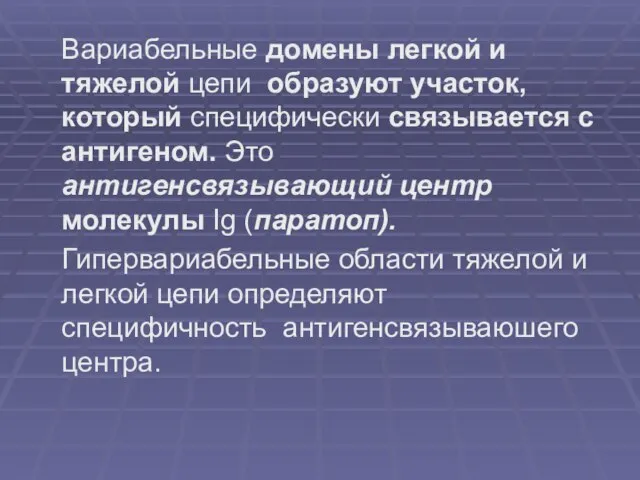 Вариабельные домены легкой и тяжелой цепи образуют участок, который специфически связывается с