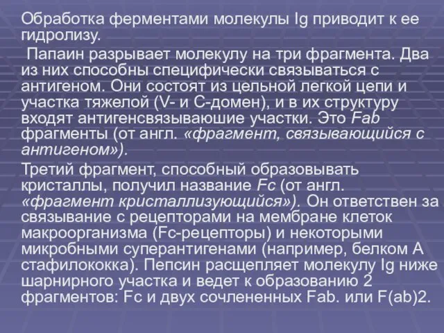 Обработка ферментами молекулы Ig приводит к ее гидролизу. Папаин разрывает молекулу на