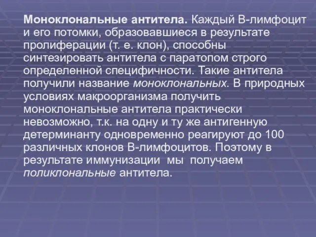 Моноклональные антитела. Каждый В-лимфоцит и его потомки, образовавшиеся в результате пролиферации (т.