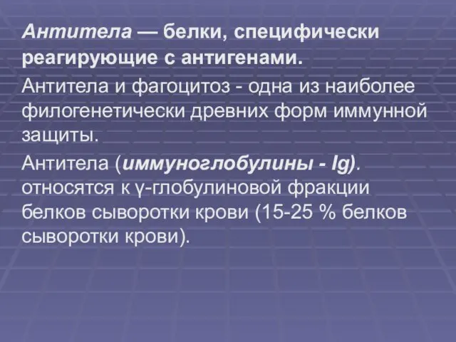 Антитела — белки, специфически реагирующие с антигенами. Антитела и фагоцитоз - одна