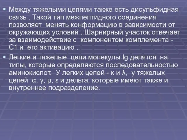 Между тяжелыми цепями также есть дисульфидная связь . Такой тип межпептидного соединения