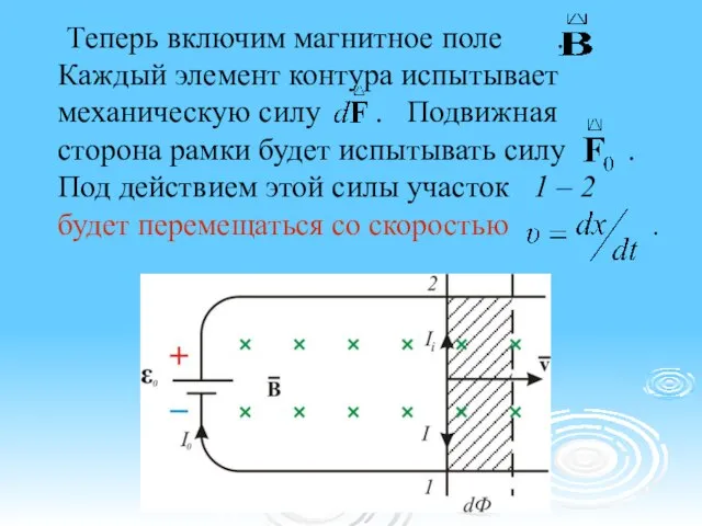 Теперь включим магнитное поле . Каждый элемент контура испытывает механическую силу .