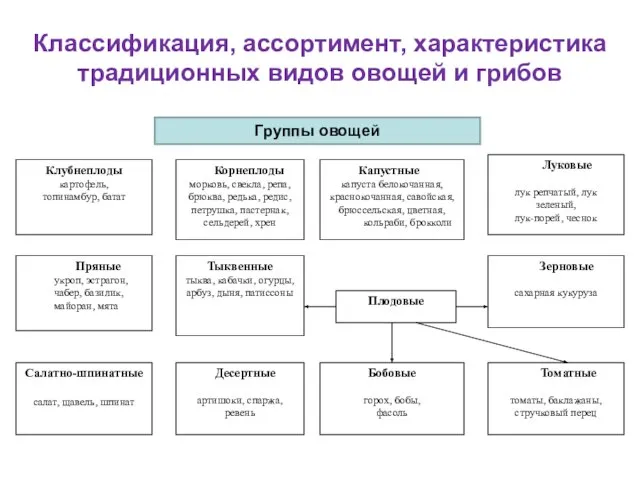 Классификация, ассортимент, характеристика традиционных видов овощей и грибов Группы овощей