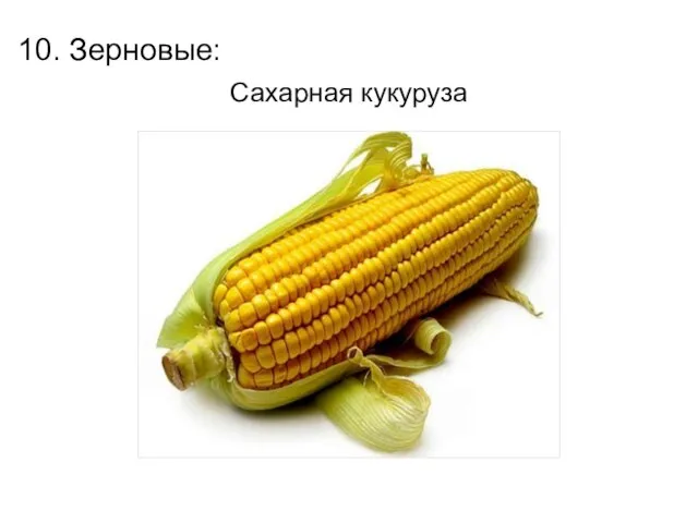 Сахарная кукуруза 10. Зерновые: