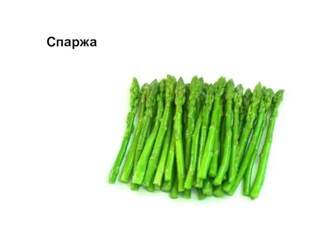 Спаржа