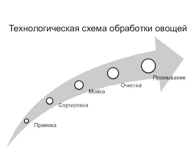 Технологическая схема обработки овощей