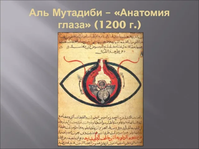Аль Мутадиби – «Анатомия глаза» (1200 г.)