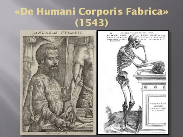 «De Humani Corporis Fabrica» (1543)