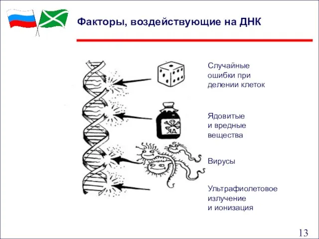 Факторы, воздействующие на ДНК Случайные ошибки при делении клеток Ультрафиолетовое излучение и