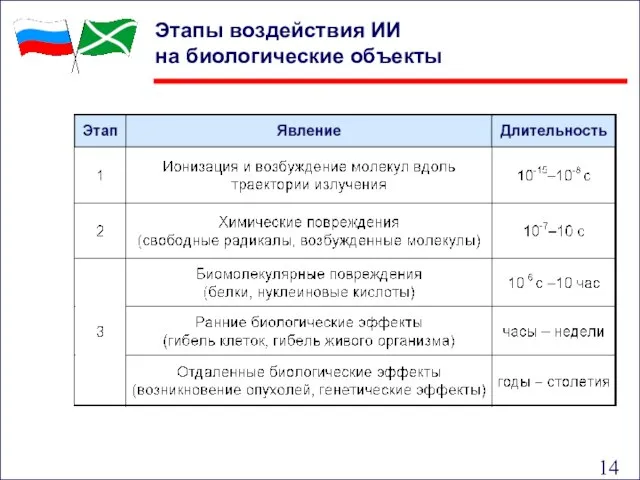 Этапы воздействия ИИ на биологические объекты