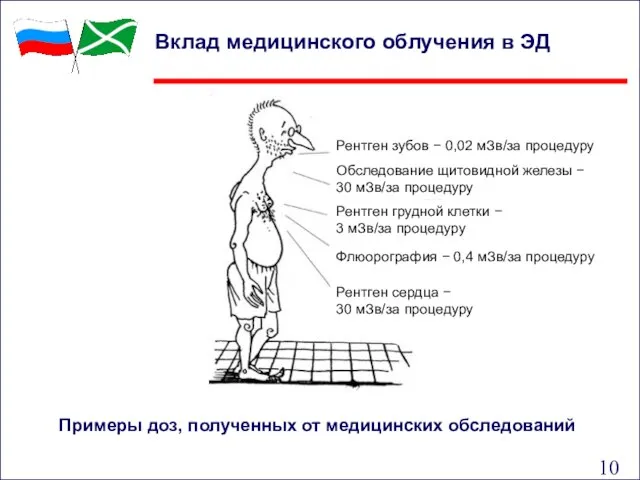 Вклад медицинского облучения в ЭД Рентген зубов − 0,02 мЗв/за процедуру Обследование