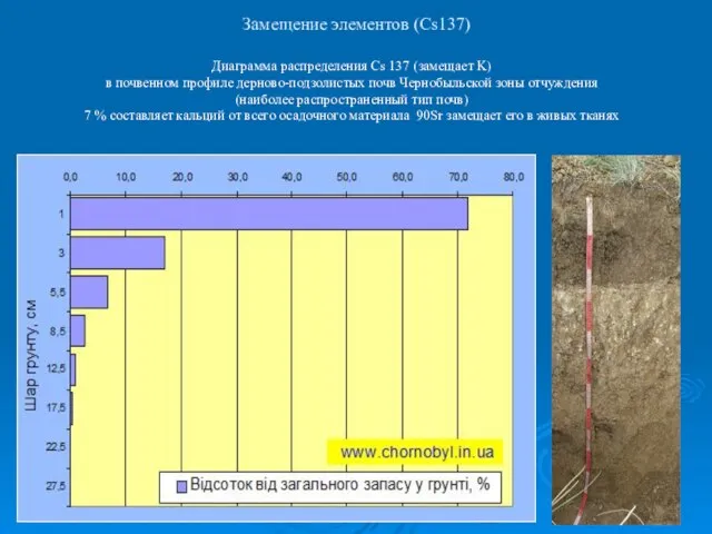 Диаграмма распределения Cs 137 (замещает K) в почвенном профиле дерново-подзолистых почв Чернобыльской