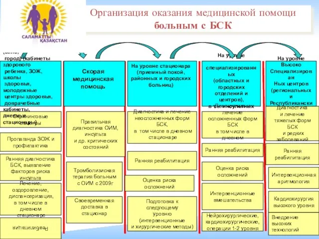 Организация оказания медицинской помощи больным с БСК Скрининговые осмотры Лечение, оздоровление, диспансеризация,