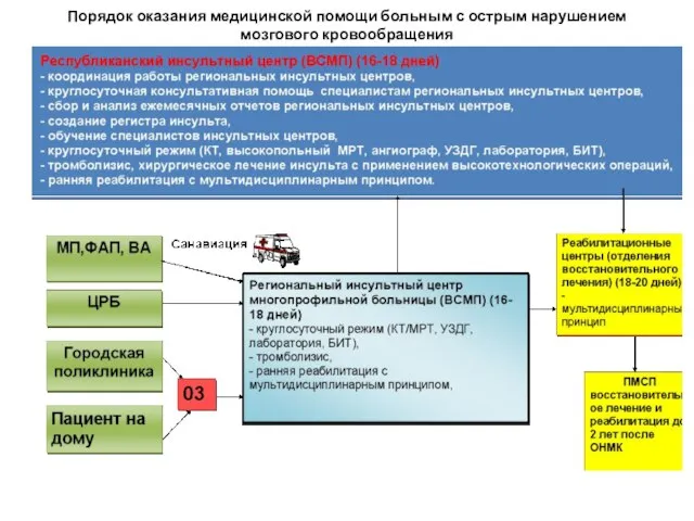 Порядок оказания медицинской помощи больным с острым нарушением мозгового кровообращения