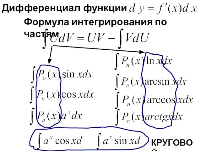 Дифференциал функции Формула интегрирования по частям КРУГОВОЙ