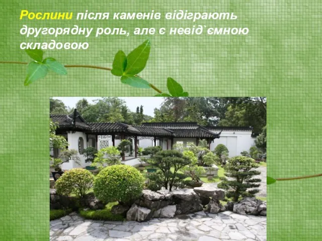 Рослини після каменів відіграють другорядну роль, але є невід`ємною складовою