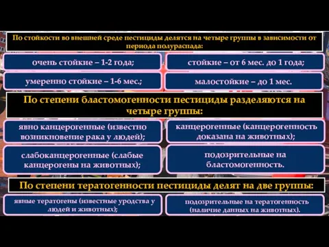 По стойкости во внешней среде пестициды делятся на четыре группы в зависимости