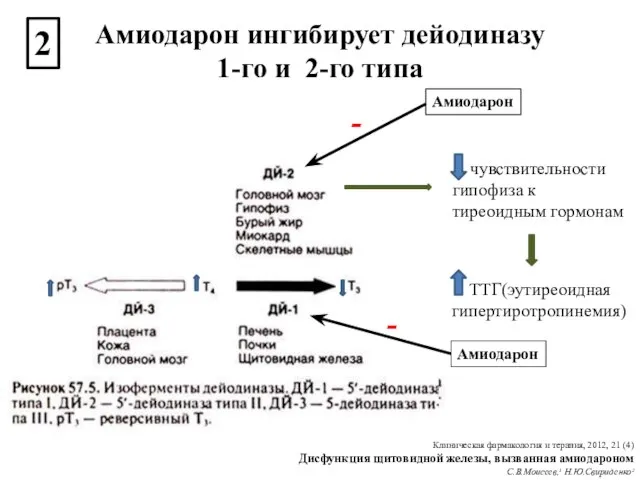 чувствительности гипофиза к тиреоидным гормонам Амиодарон - Амиодарон - ТТГ(эутиреоидная гипертиротропинемия) 2