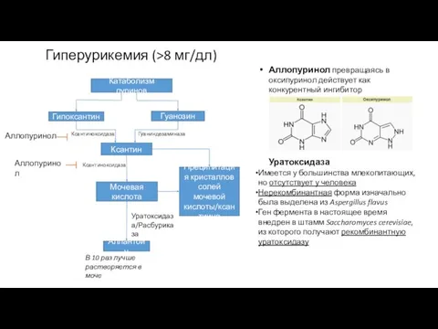 Катаболизм пуринов Гипоксантин Гуанозин Ксантин Мочевая кислота Аллантоин Преципитация кристаллов солей мочевой