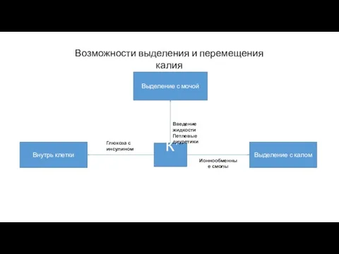 К+ Выделение с мочой Введение жидкости Петлевые диуретики Выделение с калом Ионнообменные