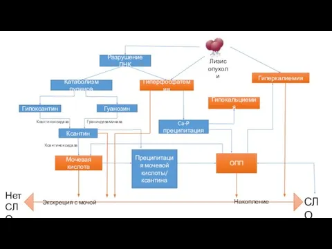 Разрушение ДНК Гиперфосфатемия Катаболизм пуринов Гипоксантин Гуанозин Ксантин Мочевая кислота Гиперкалиемия ОПП