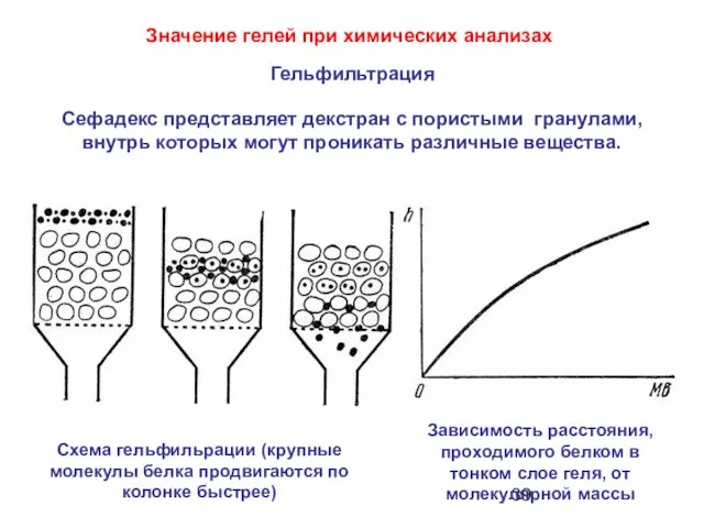 Сефадекс представляет декстран с пористыми гранулами, внутрь которых могут проникать различные вещества.