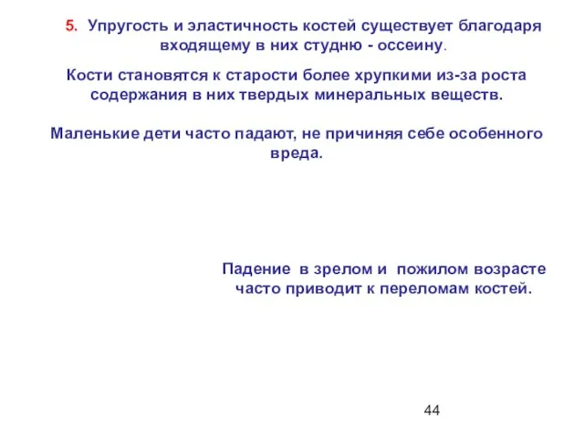 5. Упругость и эластичность костей существует благодаря входящему в них студню -