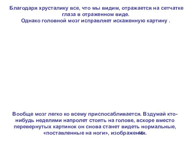 Благодаря хрусталику все, что мы видим, отражается на сетчатке глаза в отраженном