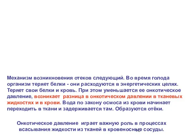 Механизм возникновения отеков следующий. Во время голода организм теряет белки - они