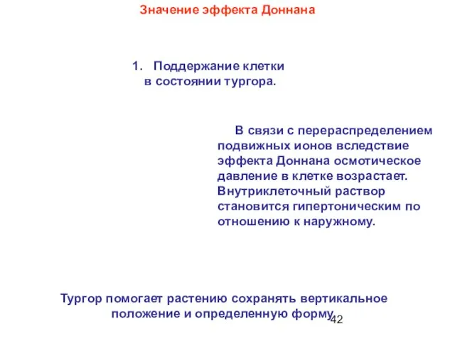 Значение эффекта Доннана Тургор помогает растению сохранять вертикальное положение и определенную форму.