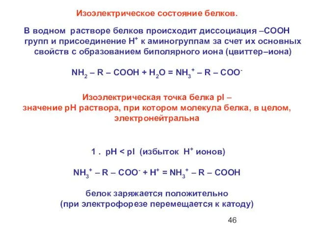 В водном растворе белков происходит диссоциация –СООН групп и присоединение Н+ к