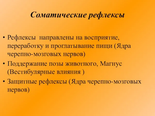 Соматические рефлексы Рефлексы направлены на восприятие, переработку и проглатывание пищи (Ядра черепно-мозговых