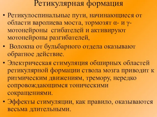 Ретикулярная формация Ретикулоспинальные пути, начинающиеся от области варолиева моста, тормозят α- и