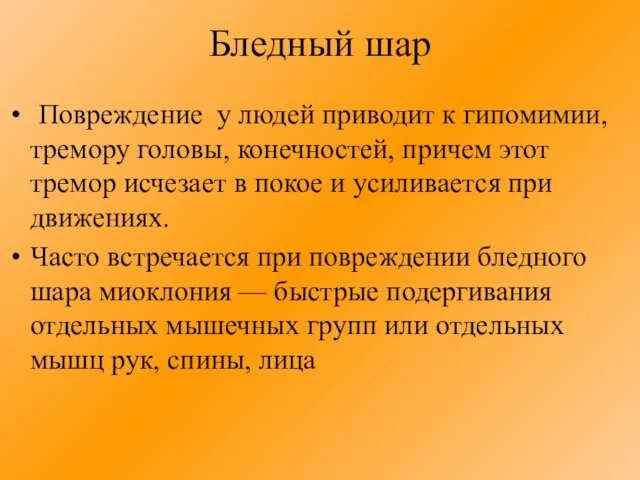 Бледный шар Повреждение у людей приводит к гипомимии, тремору головы, конечностей, причем