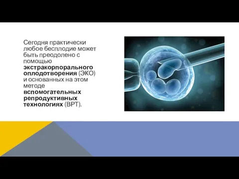 Сегодня практически любое бесплодие может быть преодолено с помощью экстракорпорального оплодотворения (ЭКО)