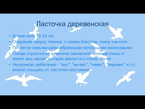 Ласточка деревенская Длина тела 10-23 см Оперение сверху тёмное, с синим блеском,