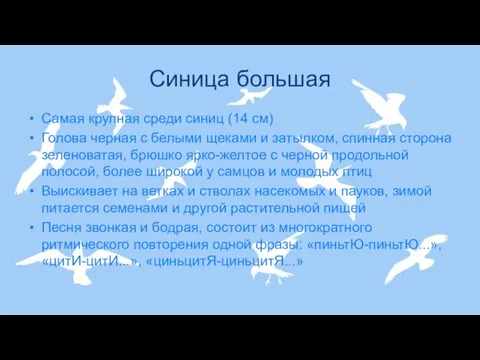 Синица большая Самая крупная среди синиц (14 см) Голова черная с белыми