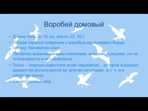 Воробей домовый Длина тела до 16 см, масса 23–35 г. Общая окраска