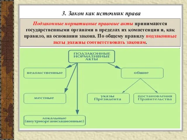 3. Закон как источник права Подзаконные нормативные правовые акты принимаются государственными органами